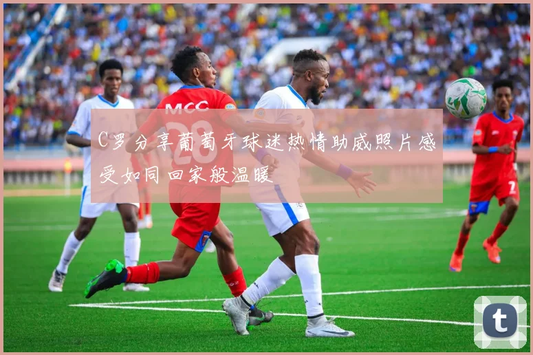 C罗分享葡萄牙球迷热情助威照片感受如同回家般温暖